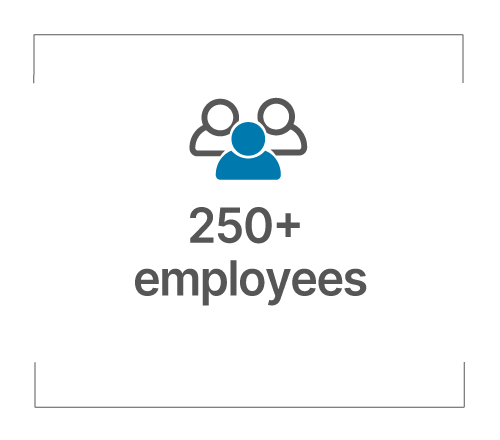 250+ employees